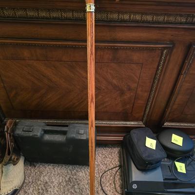 Walking stick