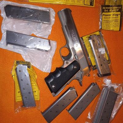 Colt 45 auto acp MK IV SERIES 80 GOVERNMENT MODEL STAINLESS W/ 10 MAGS