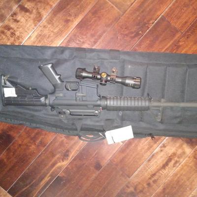 Bushmaster 556/223 mod xm15-e2s