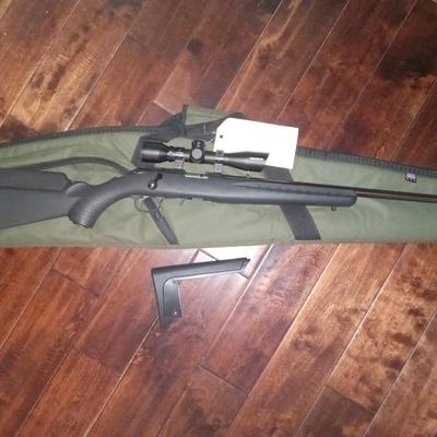 Ruger American 22 LR with scope.