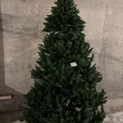 7’ Alpine Spruce Tree