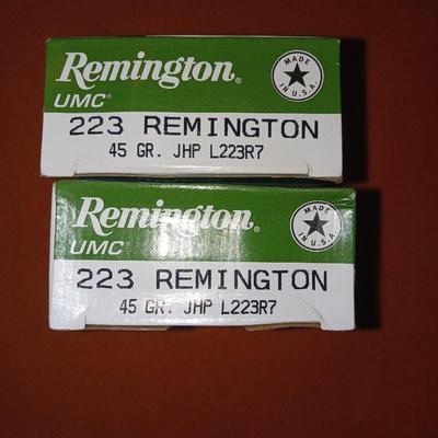 Remington 223 45 gr