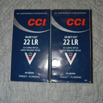 Cci 22 lr