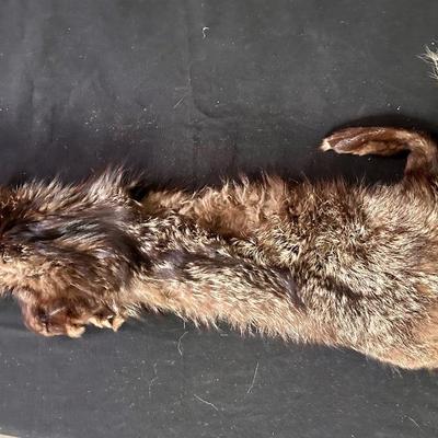 Vintage fox (?) stole / pelt
