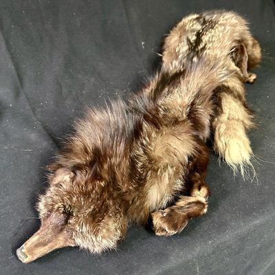 Vintage fox (?) stole / pelt