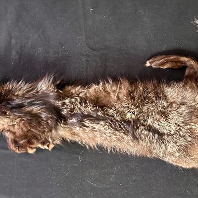 Vintage fox (?) stole / pelt