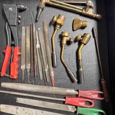 Rasps & tools