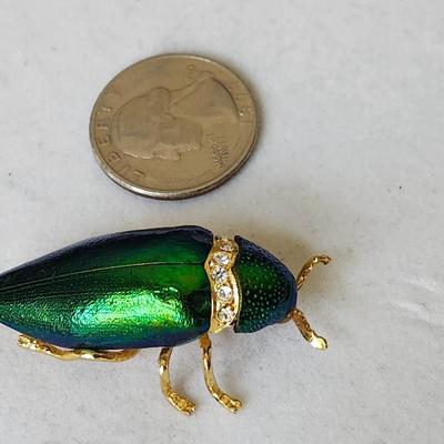 Scarab Beetle Pin