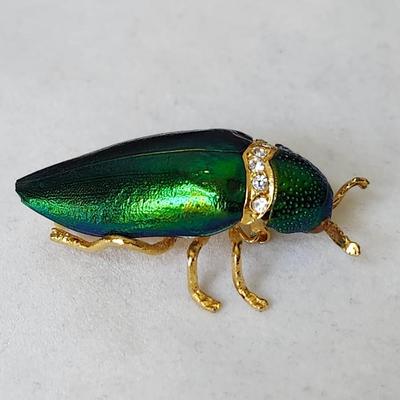 Scarab Beetle Pin