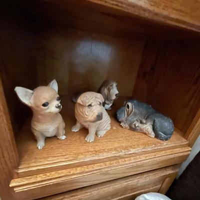Dogs 