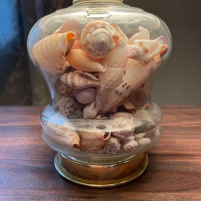 Seashell Filled Glass Table Lamp