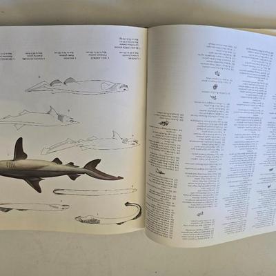 Wildlife, Wilderness & Wonders: Nature Enthusiast - 4 Nature & Outdoor Books – Fishing, Wilderness, Wolves & Fossils