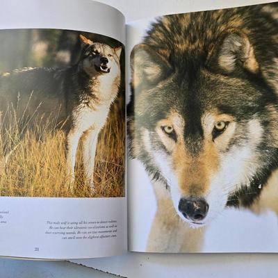 Wildlife, Wilderness & Wonders: Nature Enthusiast - 4 Nature & Outdoor Books – Fishing, Wilderness, Wolves & Fossils