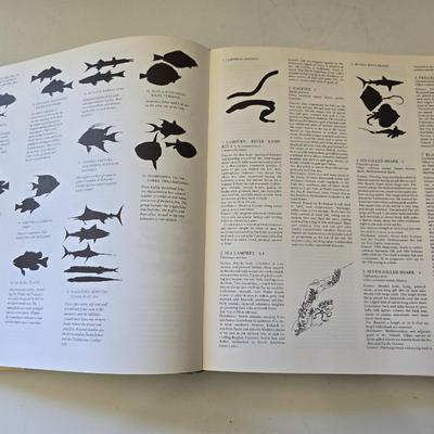 Wildlife, Wilderness & Wonders: Nature Enthusiast - 4 Nature & Outdoor Books – Fishing, Wilderness, Wolves & Fossils
