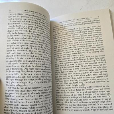 Lot of 10 American Classics – Vintage Paperback Editions (Signet / Mentor Style)
