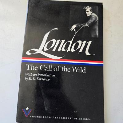 Lot of 10 American Classics – Vintage Paperback Editions (Signet / Mentor Style)