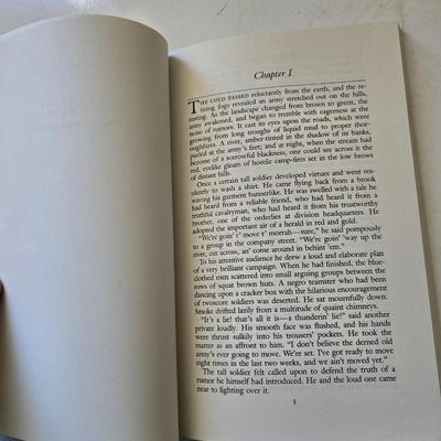 Lot of 10 American Classics – Vintage Paperback Editions (Signet / Mentor Style)
