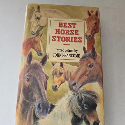 Equestrian & Therapeutic Riding Book Bundle — From Horse Care to Healing