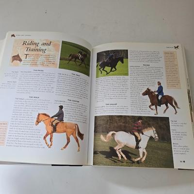 Equestrian & Therapeutic Riding Book Bundle — From Horse Care to Healing