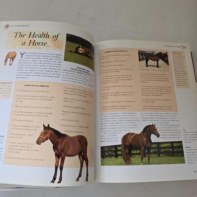 Equestrian & Therapeutic Riding Book Bundle — From Horse Care to Healing