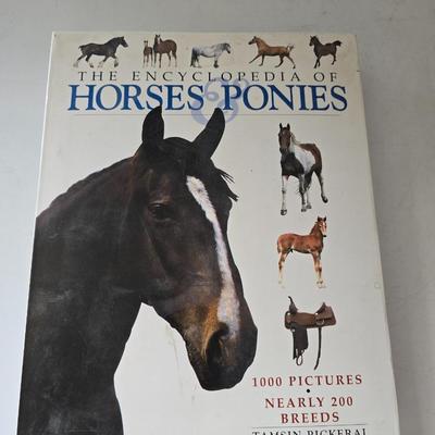 Equestrian & Therapeutic Riding Book Bundle — From Horse Care to Healing
