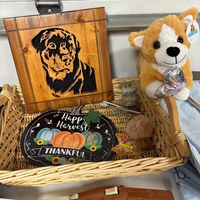 Pocket fisherman, WiFi camera, & more