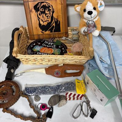 Pocket fisherman, WiFi camera, & more