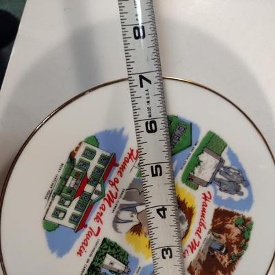 Decorative Souvenir Plates- Five Pieces