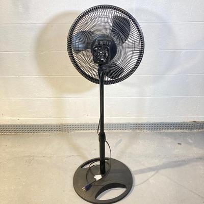 LOT 57: Twisted Corkscrew Metal Lamp and Pair of Stand Fans