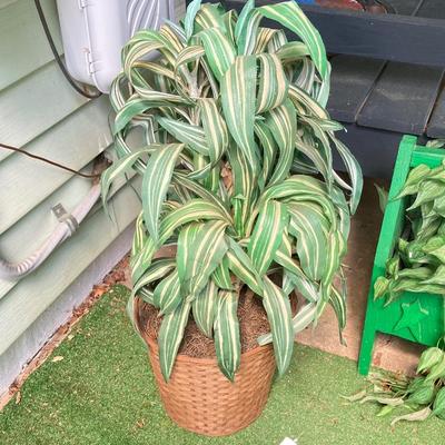 LOT 63: Wooden Plant Holders and Faux Plants