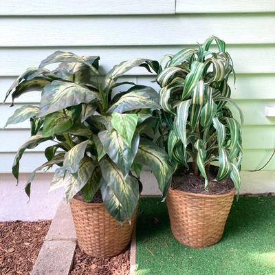 LOT 63: Wooden Plant Holders and Faux Plants