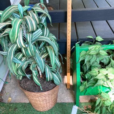 LOT 63: Wooden Plant Holders and Faux Plants