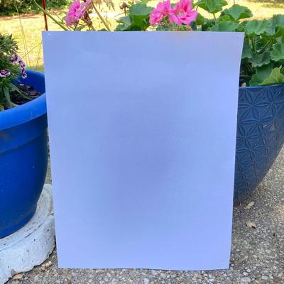 LOT 73: Collection of Art - Signed Oil Paintings and More