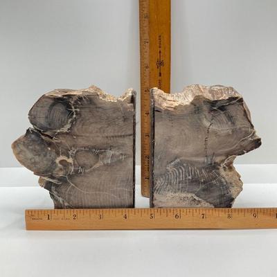 LOT 74: Pair of Petrified Wood Book Ends
