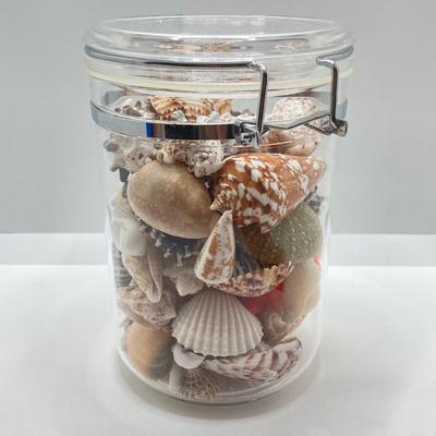 LOT 174: Seashore Collection - Gorgeous Shells and Carved Wood Decor