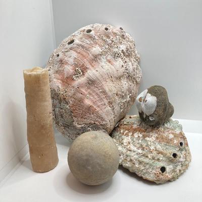 LOT 174: Seashore Collection - Gorgeous Shells and Carved Wood Decor