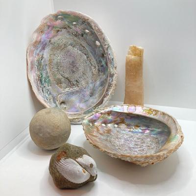 LOT 174: Seashore Collection - Gorgeous Shells and Carved Wood Decor