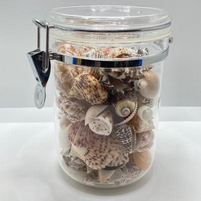 LOT 174: Seashore Collection - Gorgeous Shells and Carved Wood Decor
