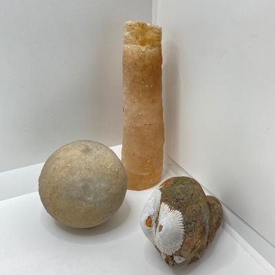 LOT 174: Seashore Collection - Gorgeous Shells and Carved Wood Decor