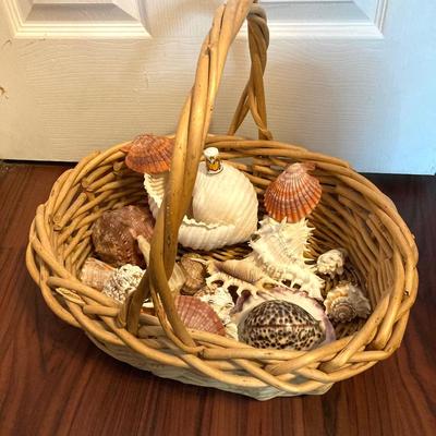 LOT 174: Seashore Collection - Gorgeous Shells and Carved Wood Decor