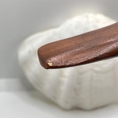 LOT 174: Seashore Collection - Gorgeous Shells and Carved Wood Decor