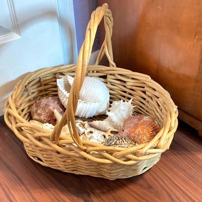 LOT 174: Seashore Collection - Gorgeous Shells and Carved Wood Decor