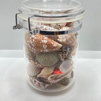 LOT 174: Seashore Collection - Gorgeous Shells and Carved Wood Decor
