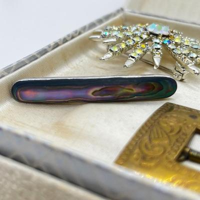 LOT 205J: Antique Brass Buckle, Sterling and Abalone Bar Pin, Enamel and Brass Bar Pin and More!