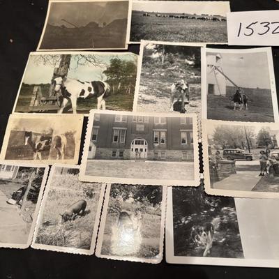 Vintage Picture Lot