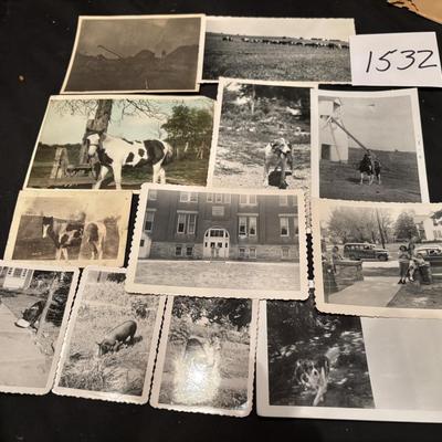 Vintage Picture Lot