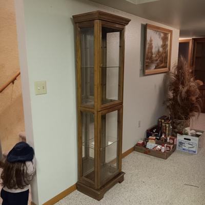 NARROW CURIO CABINET WITH A MIRRORED BACK