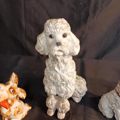 WHO LET THE DOGS OUT?