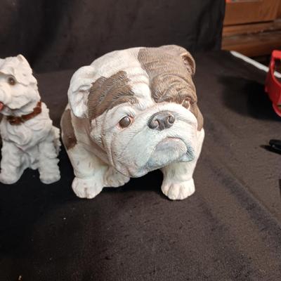 WHO LET THE DOGS OUT?