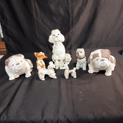 WHO LET THE DOGS OUT?